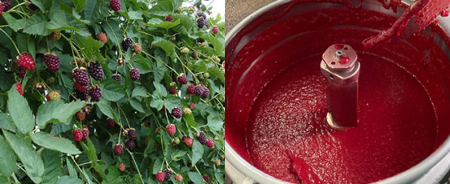 アドベリーピューレ