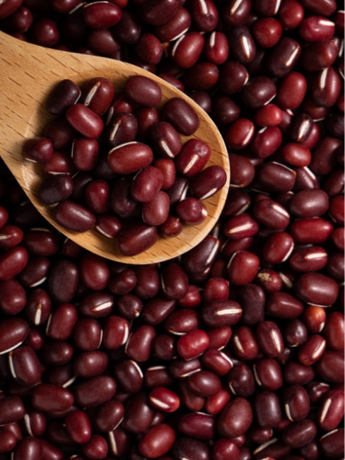 製菓材料・供給事業